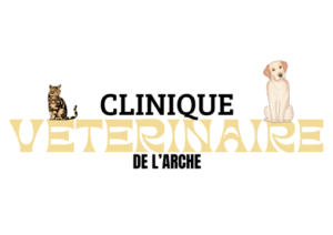 clinique de l'arche recadrage